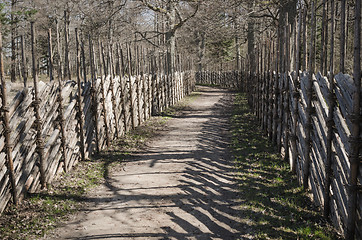 Image showing Wooden fence in the spring in the countryside