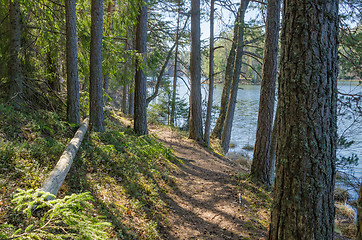 Image showing Spring landscape at wood lake