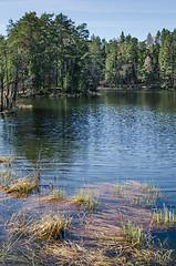 Image showing Spring landscape at wood lake