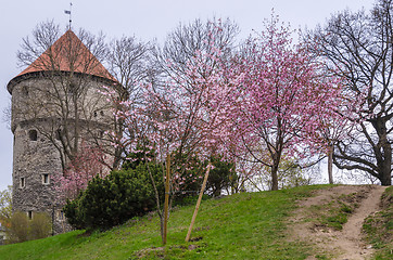 Image showing View of Tallinn spring day