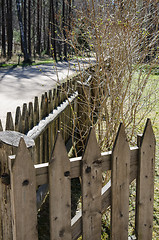 Image showing Wooden fence in the spring in the countryside