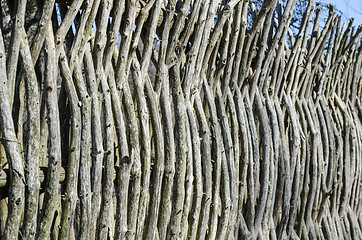 Image showing Wooden fence in the spring in the countryside