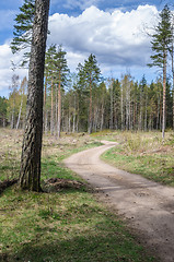 Image showing Country road the leader through a wood