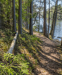 Image showing Spring landscape at wood lake