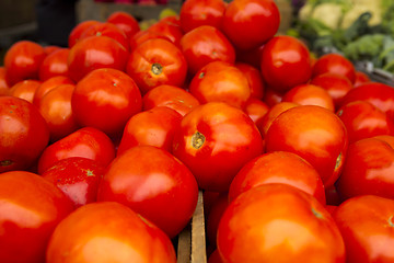 Image showing Organic Tomatoes