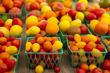 Image showing Organic Tomatoes