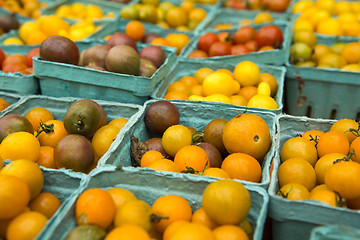 Image showing Organic Tomatoes