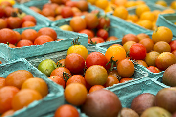 Image showing Organic Tomatoes