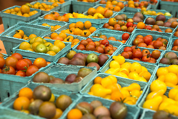 Image showing Organic Tomatoes