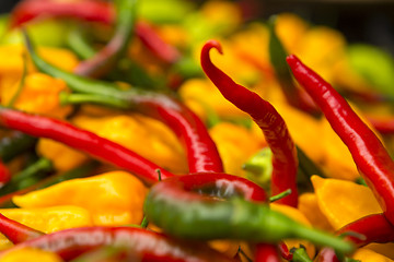 Image showing Organic Peppers