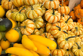 Image showing Organic Pumpkins