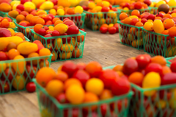 Image showing Organic Tomatoes