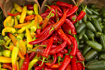 Image showing Organic Peppers