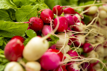 Image showing Organic Radishes