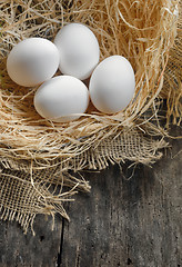 Image showing eggs at hay nest