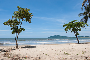 Image showing Tropical Beach