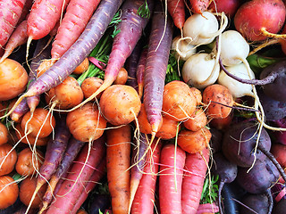 Image showing Colorful root vegetables