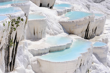 Image showing Travertine pools and terraces in Pamukkale, Turkey