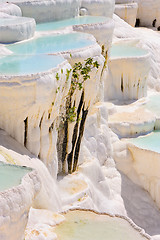 Image showing Travertine pools and terraces in Pamukkale, Turkey