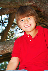 Image showing Boy climbing a tree