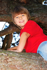 Image showing Boy climbing a tree