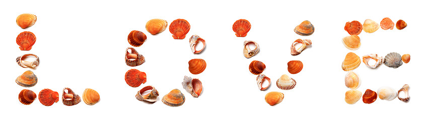 Image showing Text LOVE composed of seashells