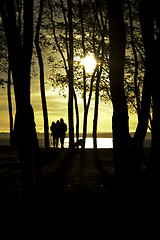 Image showing Family at sunset
