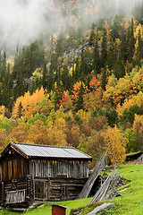 Image showing fall in the mountains