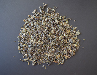 Image showing Gunpowder Green Tea