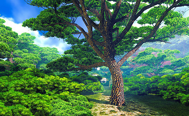Image showing Mighty tree