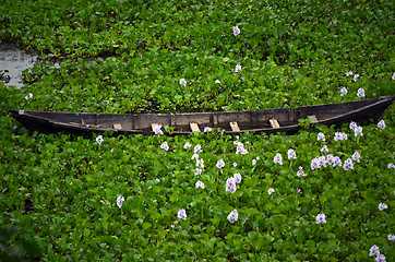 Image showing A boat in the lake with water-lily flowers on blue leaf