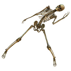 Image showing Dancing Skeleton