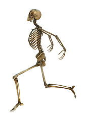 Image showing Dancing Skeleton