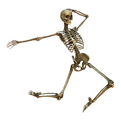 Image showing Dancing Skeleton