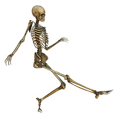 Image showing Dancing Skeleton