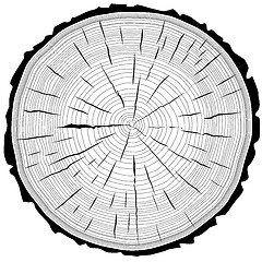 Image showing Tree rings saw cut tree trunk background. Vector illustration.