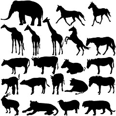 Image showing Set  silhouettes animals in zoo collection on a white background