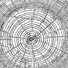 Image showing Tree rings saw cut tree trunk background. Vector illustration.