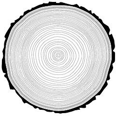 Image showing Tree rings saw cut tree trunk background. Vector illustration.