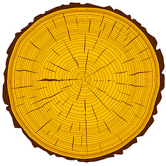 Image showing Tree rings saw cut tree trunk background. Vector illustration.