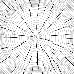 Image showing Tree rings saw cut tree trunk background. Vector illustration.