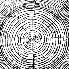 Image showing Tree rings saw cut tree trunk background. Vector illustration.