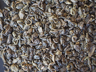 Image showing Gunpowder Green Tea