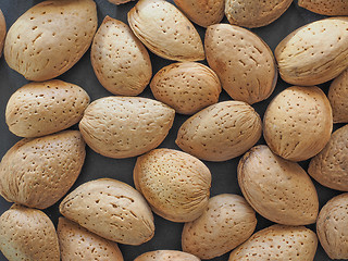 Image showing Almond fruit