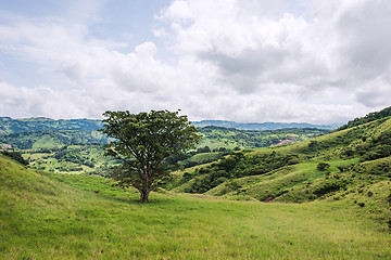 Image showing View over Monteverde