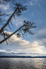 Image showing Lake with trees and clouds