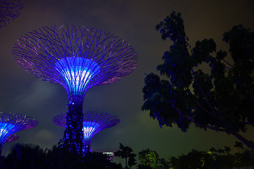 Image showing Gardens by the Bay in Singapore at Night