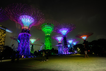 Image showing Towers of Gardens by the Bay in Singapore at Night