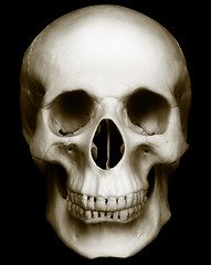 Image showing Skull isolated on dark background