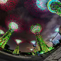 Image showing Fisheye Shot of Illuminated Towers at Garden by the Bay in Singa